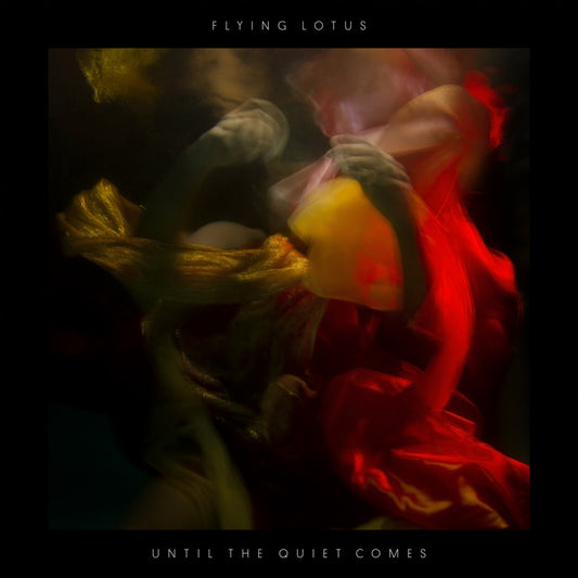 Flying Lotus - Until The Quiet Comes - 2xLP - Warp Records
