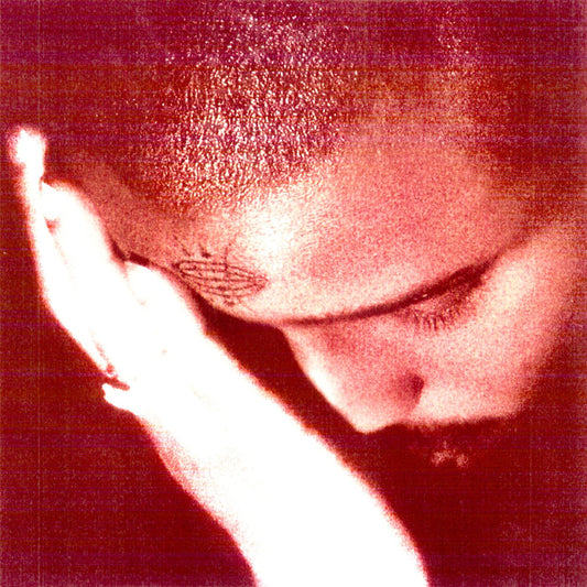 Nourished By Time - Passionate One (Indie Exclusive) - LP - XL Recordings