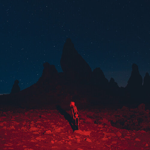 Phoebe Bridgers - Punisher - LP - Dead Oceans