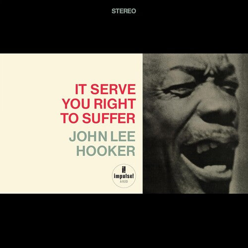 John Lee Hooker - It Serve You Right To Suffer (Verve Acoustic Sounds Series) - LP - Verve