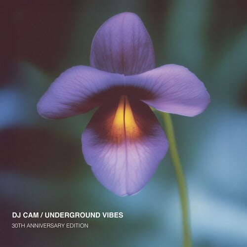 DJ Cam - Underground Vibes (30th Anniversary) - LP - Diggers Factory