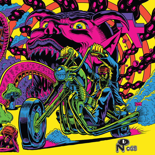 Various - Warfaring Strangers: Acid Nightmares - 2xLP - Numero