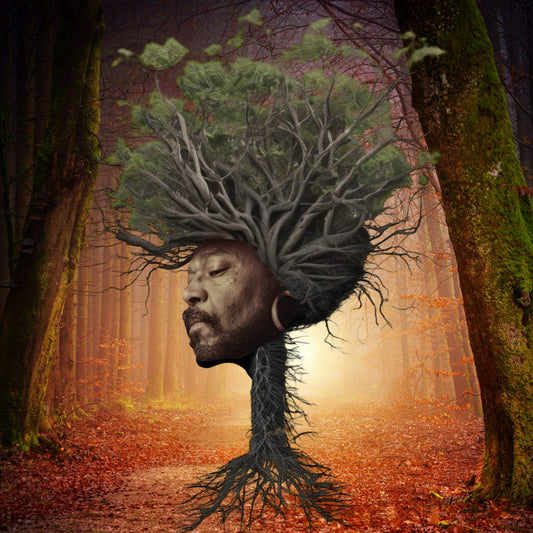Osunlade - Inner Garden - LP - Yoruba