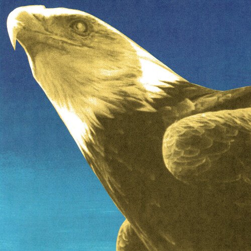 Protomartyr - Hotel Usona - LP - Domino