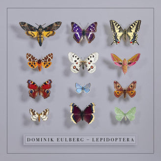 Dominik Eulberg - Lepidoptera - 2xLP - K7