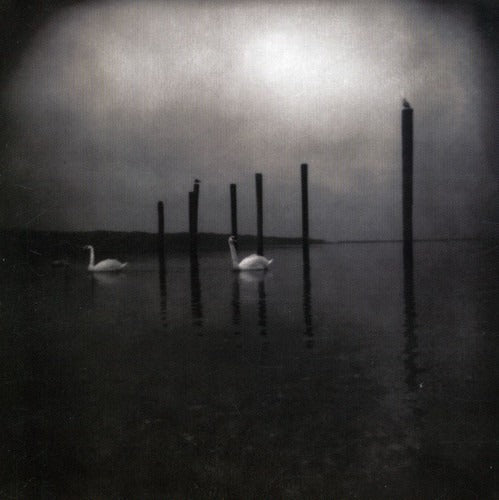 OM - Conference of the Birds - LP - Holy Mountain