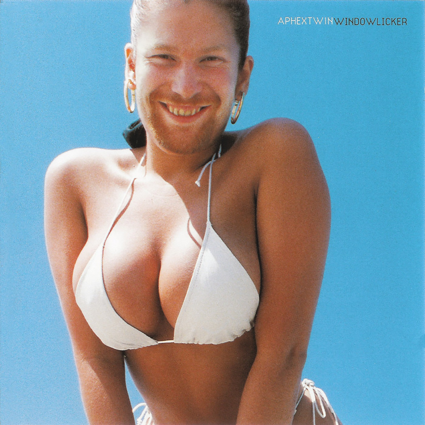 Aphex Twin - Windowlicker - LP - Warp Records