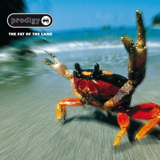 The Prodigy - Fat Of The Land - LP - XL Recordings