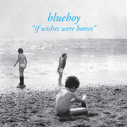 Blueboy - If Wishes Were Horses - LP - Colorful Storm