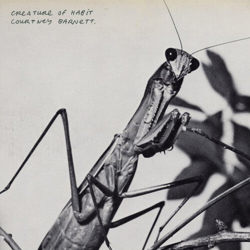 Courtney Barnett - Creature of Habit - LP - Mom & Pop Music