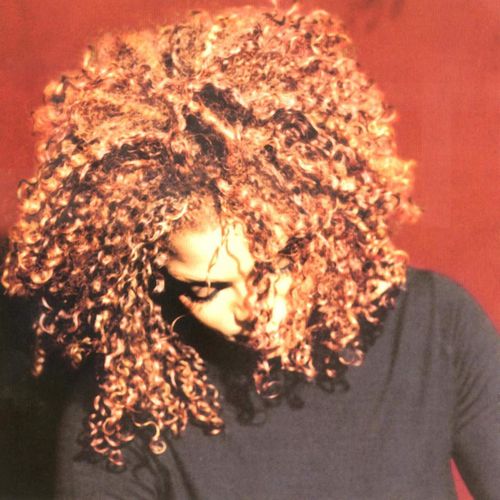 Janet Jackson - The Velvet Rope - 2xLP - Virgin