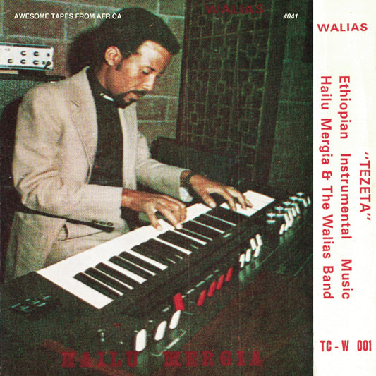 Hailu Mergia & The Walias - Tezeta - LP - Awesome Tapes From Africa
