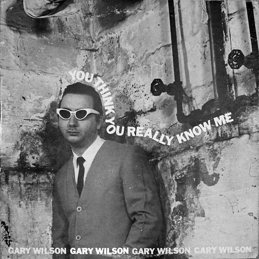 Gary Wilson - You Think You Really Know Me - LP - Feeding Tube Records