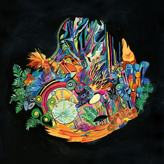 Kaitlyn Aurelia Smith - EARS - LP - Western Vinyl