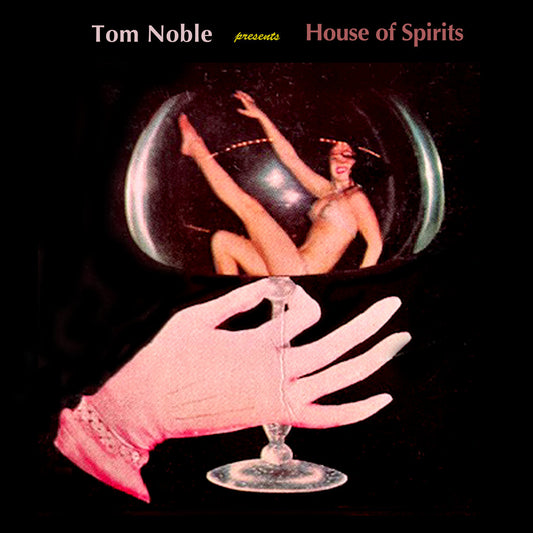 Tom Noble - House of Spirits - 2xLP - Razor N Tape