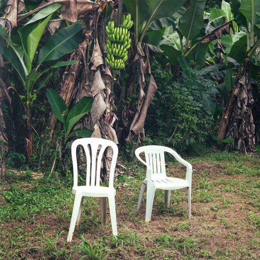 Bad Bunny - Debi Tirar Mas Fotos - 2xLP - Bad Bunny
